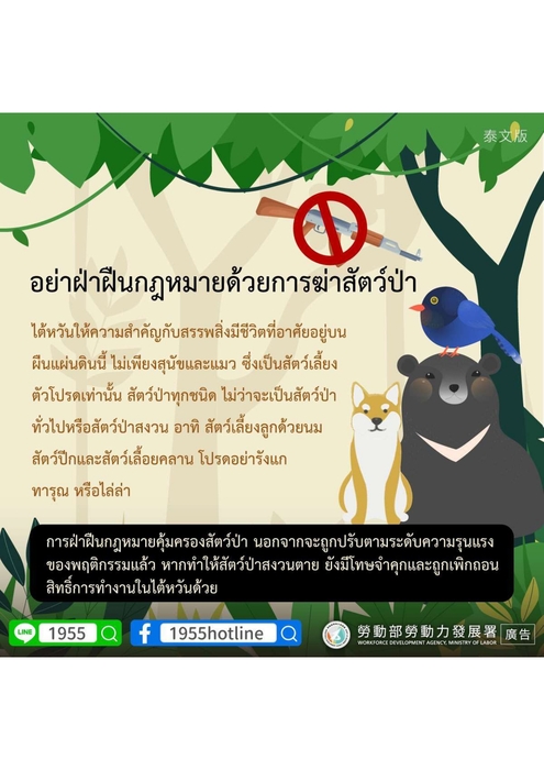 泰文圖片