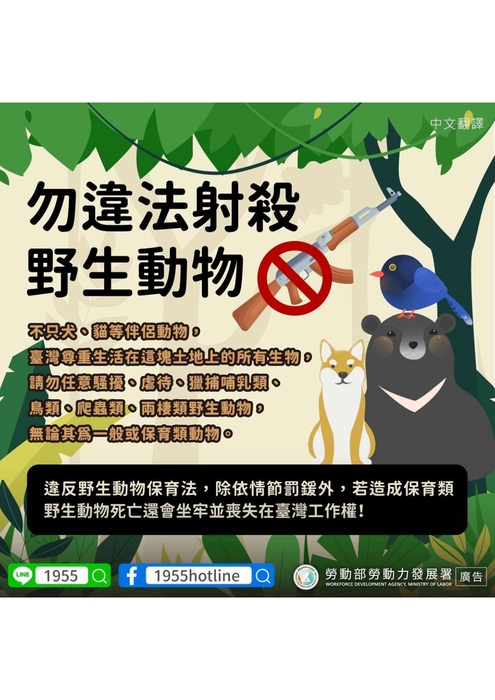 中文圖片