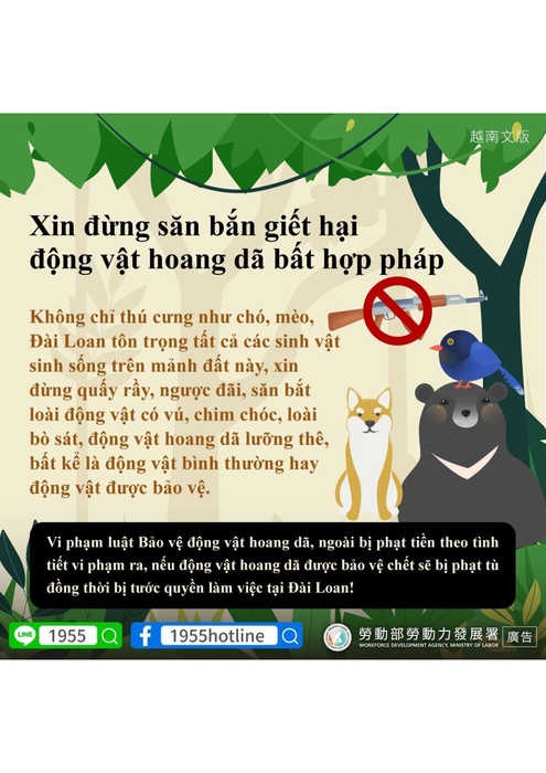 越南文圖片