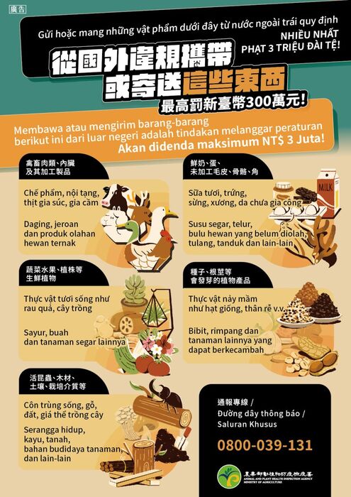 海報圖片