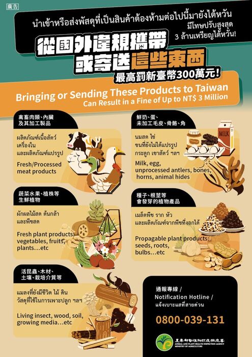 b圖片